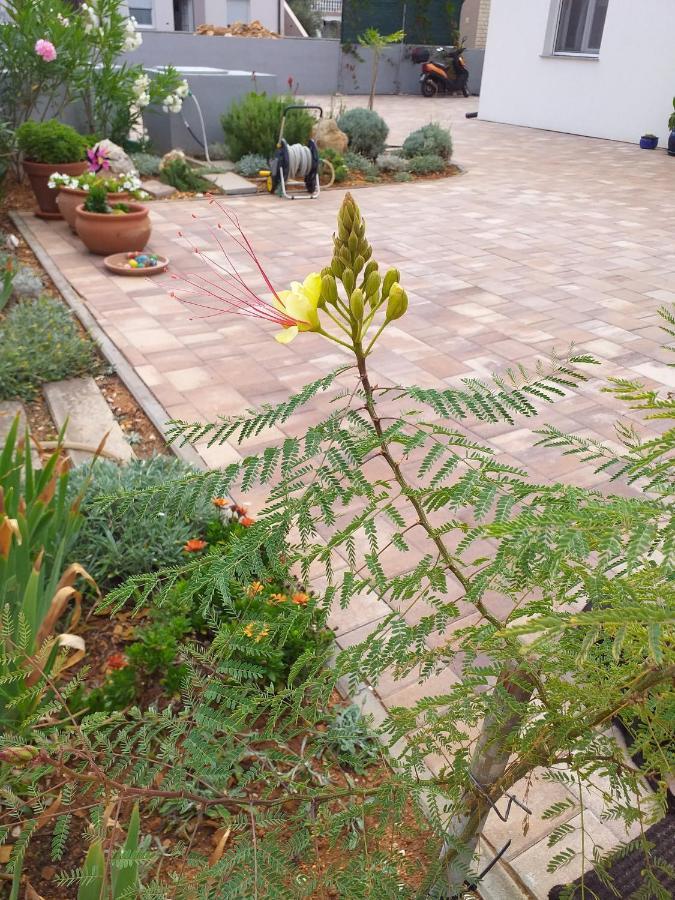 Apartment Dvorak فير المظهر الخارجي الصورة